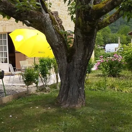 Les Sapinettes 100m De La Riviere Proche De Sarlat *
